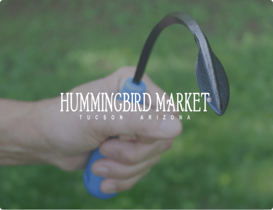 hummingbird market